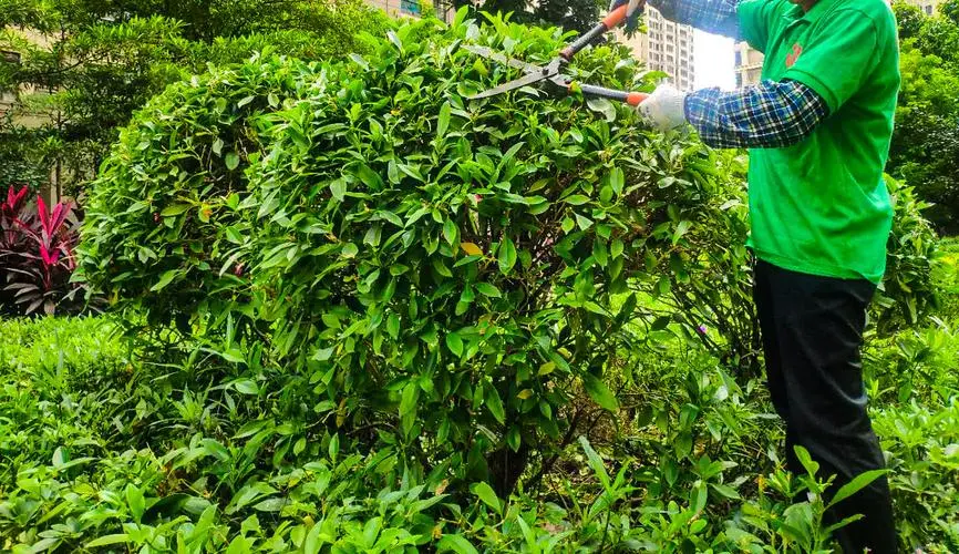 网球拍把手手胶怎么去掉